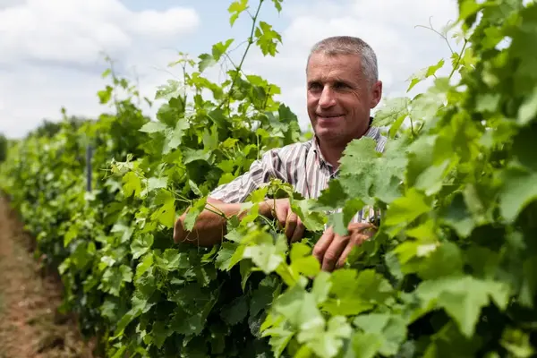 Jean Pierre ICHARD  Jean Pierre ICHARD