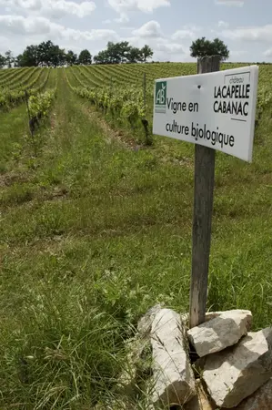 CHATEAU LACAPELLE CABANAC 